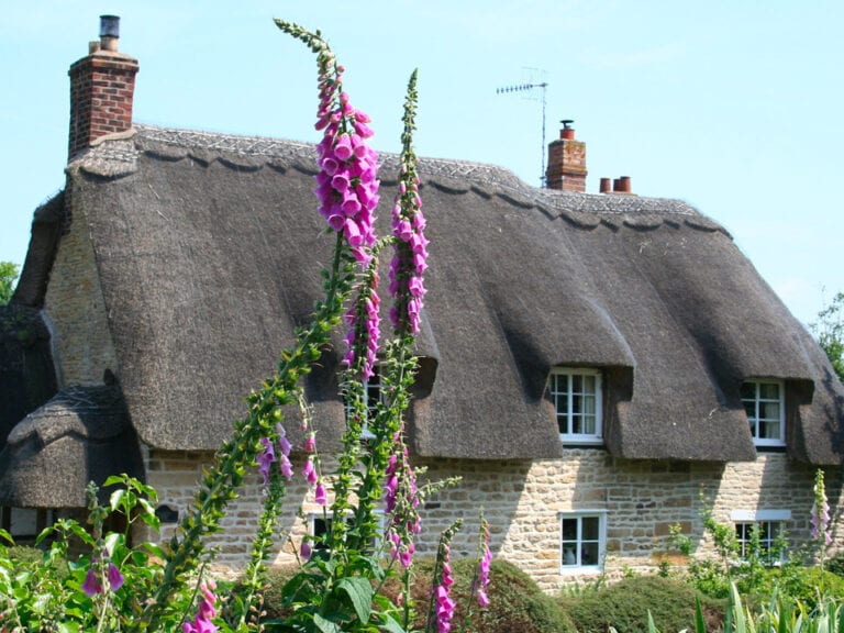 thatch wood burners installation essex